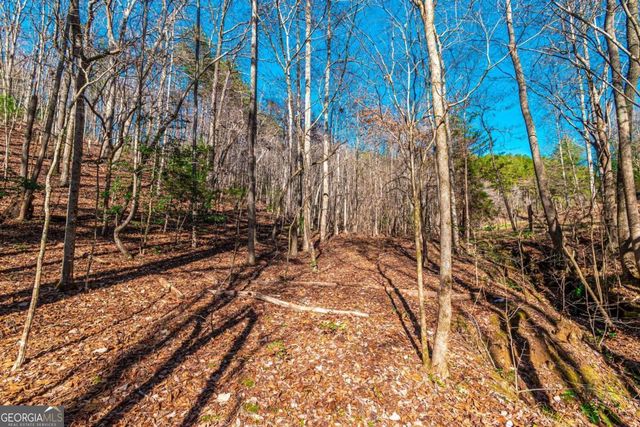 LOT 22 Meadow Brook Trail 22, Morganton, GA 30560