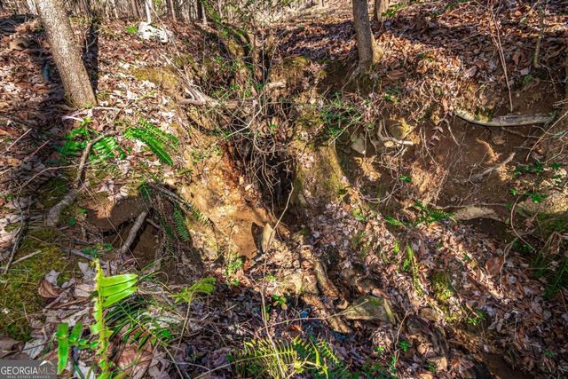 LOT 22 Meadow Brook Trail 22, Morganton, GA 30560