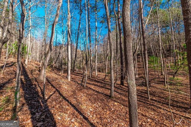 LOT 22 Meadow Brook Trail 22, Morganton, GA 30560
