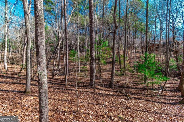 LOT 22 Meadow Brook Trail 22, Morganton, GA 30560