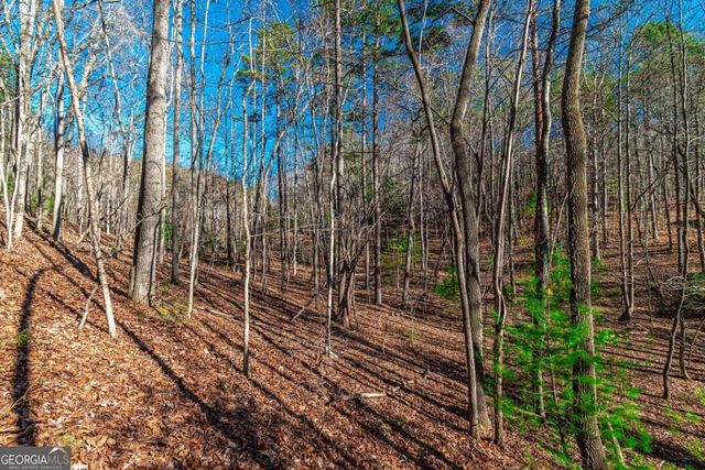 LOT 22 Meadow Brook Trail 22, Morganton, GA 30560
