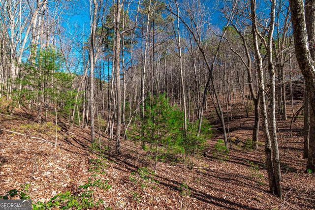 LOT 22 Meadow Brook Trail 22, Morganton, GA 30560