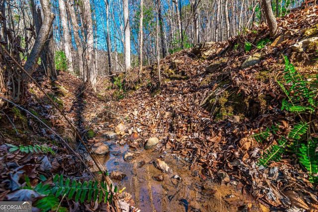 LOT 22 Meadow Brook Trail 22, Morganton, GA 30560