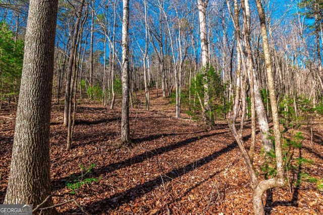 LOT 22 Meadow Brook Trail 22, Morganton, GA 30560