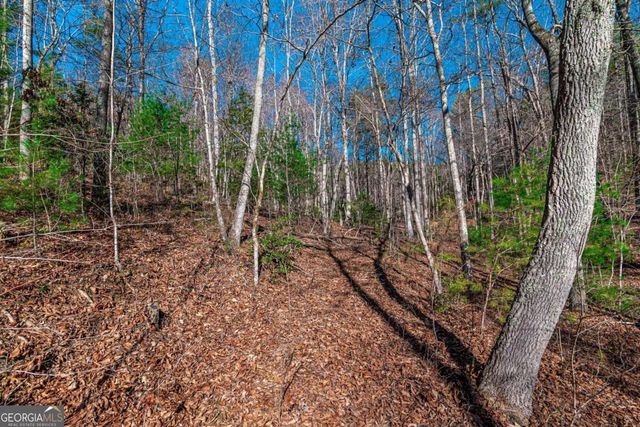 LOT 22 Meadow Brook Trail 22, Morganton, GA 30560