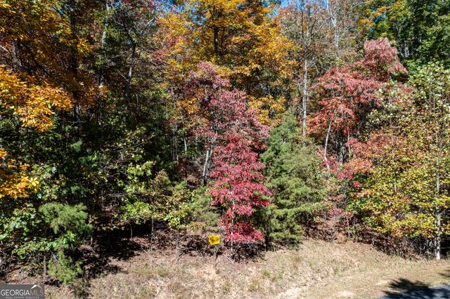 LOT 22 Meadow Brook Trail 22, Morganton, GA 30560