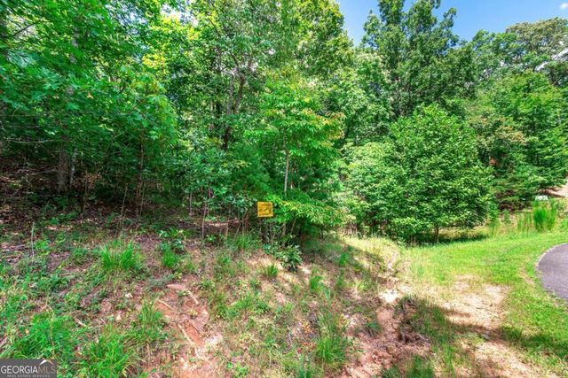LOT 22 Meadow Brook Trail 22, Morganton, GA 30560