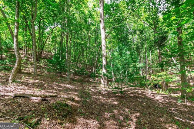 LOT 22 Meadow Brook Trail 22, Morganton, GA 30560