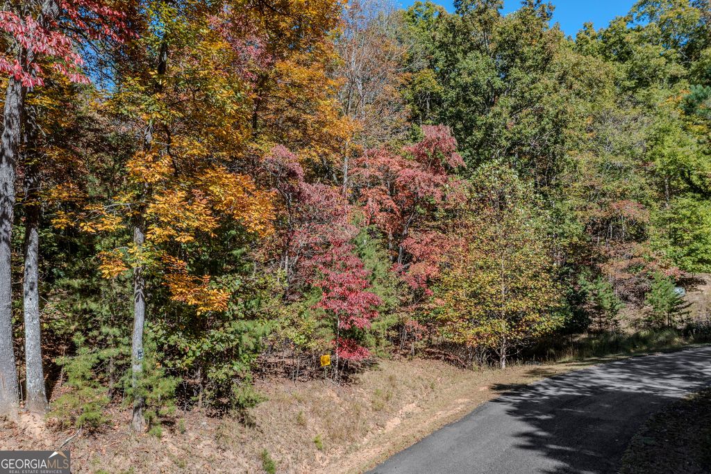 LOT 22 Meadow Brook Trail 22, Morganton, GA 30560