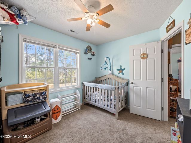 210 Bobwhite Road, Hubert, NC 28539