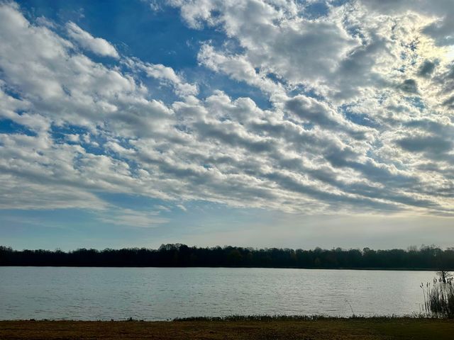 410 E SYCAMORE ST, Bolivar, TN 38008