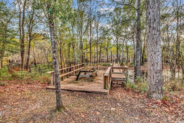 32 Old Pl, Kingstree, SC 29556