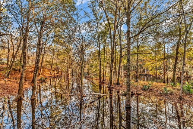 32 Old Pl, Kingstree, SC 29556