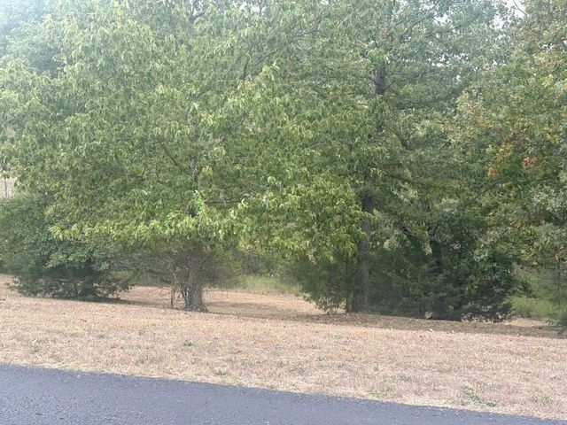 121 Ranch Road, Saddlebrooke, MO 65630