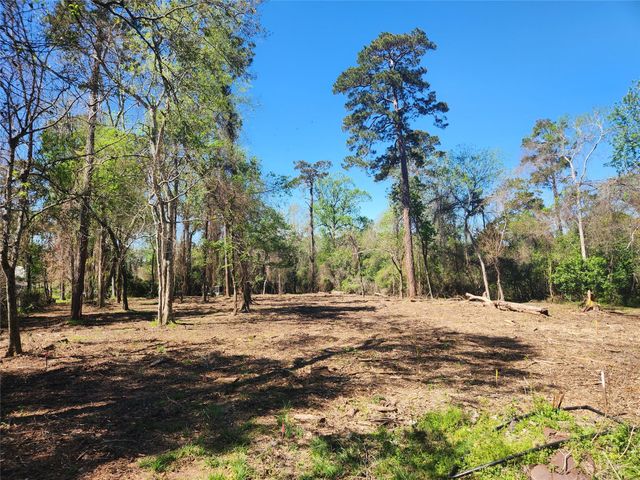 25810 Lakewater Drive, Houston, TX 77336