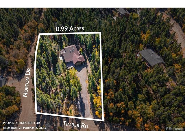 220 Timber Rd, Black Hawk, CO 80422