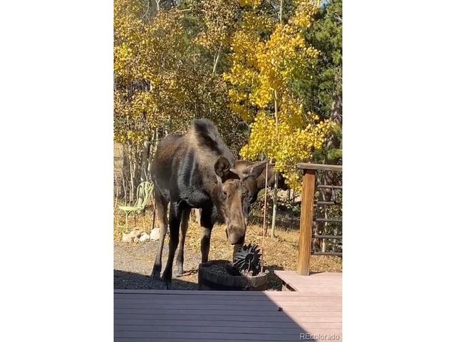 220 Timber Rd, Black Hawk, CO 80422