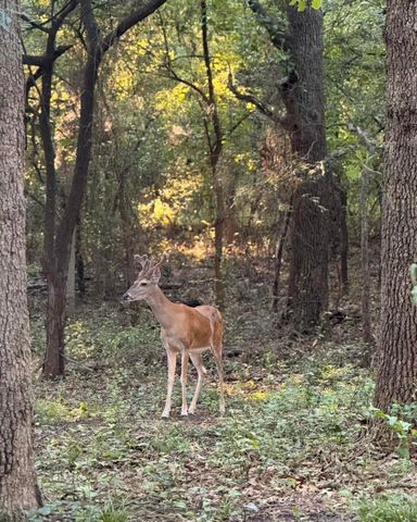 1130 Rio Bravo Way, Shady Shores, TX 76208