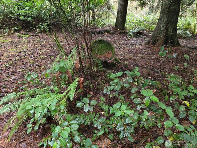 245 Cousins Road, Chehalis, WA 98532