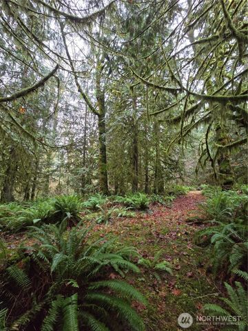 245 Cousins Road, Chehalis, WA 98532