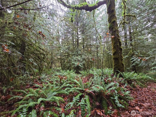 245 Cousins Road, Chehalis, WA 98532