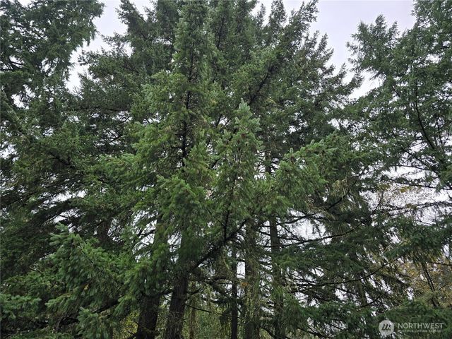 245 Cousins Road, Chehalis, WA 98532