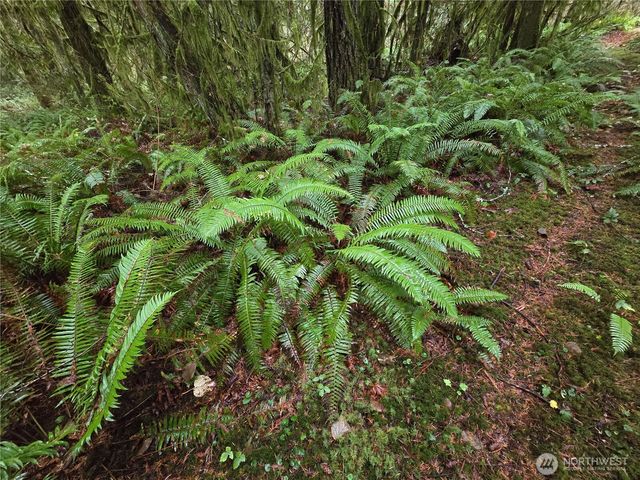 245 Cousins Road, Chehalis, WA 98532