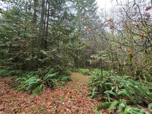 245 Cousins Road, Chehalis, WA 98532