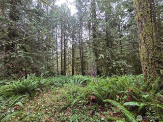 245 Cousins Road, Chehalis, WA 98532