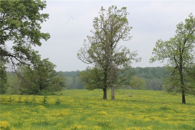 2482 Rocky Comfort Road, Highfill, AR 72734