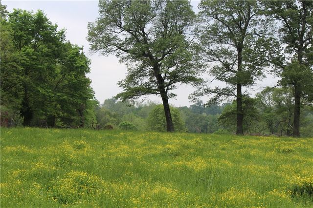 2482 Rocky Comfort Road, Highfill, AR 72734