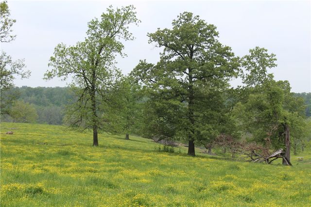 2482 Rocky Comfort Road, Highfill, AR 72734