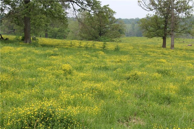 2482 Rocky Comfort Road, Highfill, AR 72734