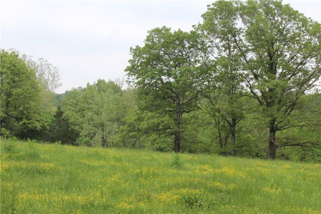 2482 Rocky Comfort Road, Highfill, AR 72734