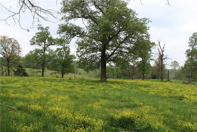 2482 Rocky Comfort Road, Highfill, AR 72734