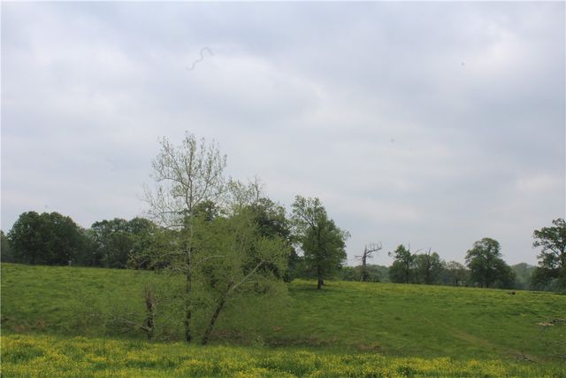 2482 Rocky Comfort Road, Highfill, AR 72734