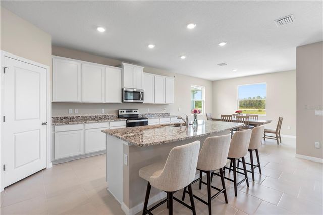 33700 HAMILTON HILL LANE, Wesley Chapel, FL 33545