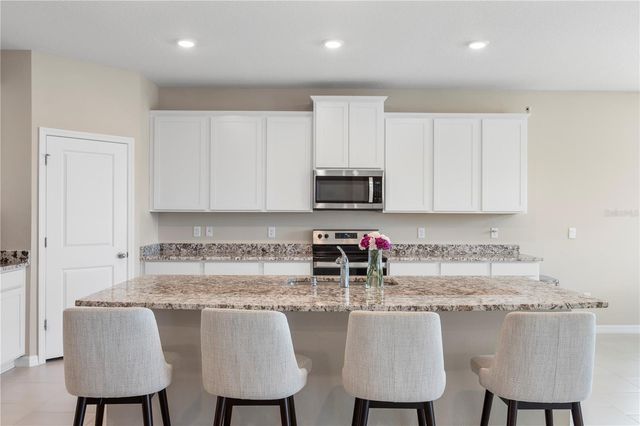 33700 HAMILTON HILL LANE, Wesley Chapel, FL 33545