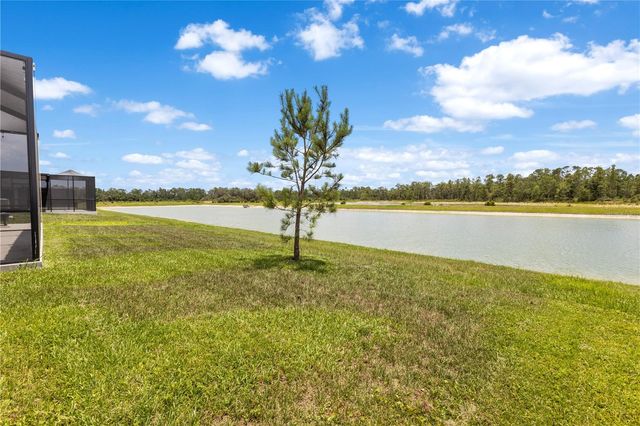 33700 HAMILTON HILL LANE, Wesley Chapel, FL 33545