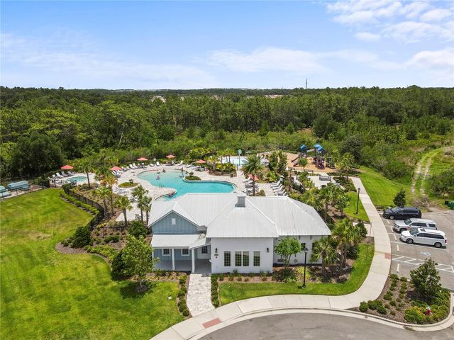 33700 HAMILTON HILL LANE, Wesley Chapel, FL 33545