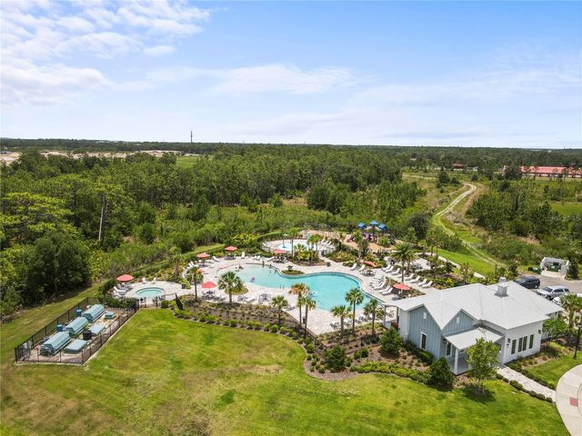 33700 HAMILTON HILL LANE, Wesley Chapel, FL 33545