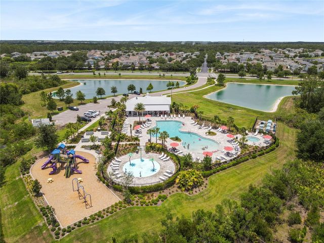 33700 HAMILTON HILL LANE, Wesley Chapel, FL 33545