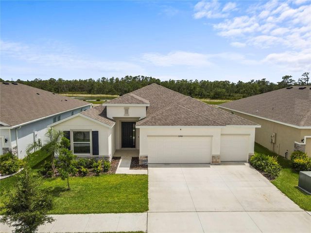 33700 HAMILTON HILL LANE, Wesley Chapel, FL 33545