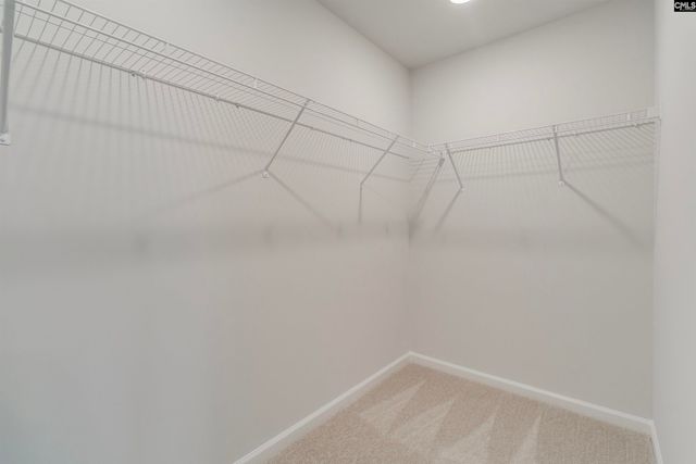 557 Carters Grove Lane, Blythewood, SC 29016