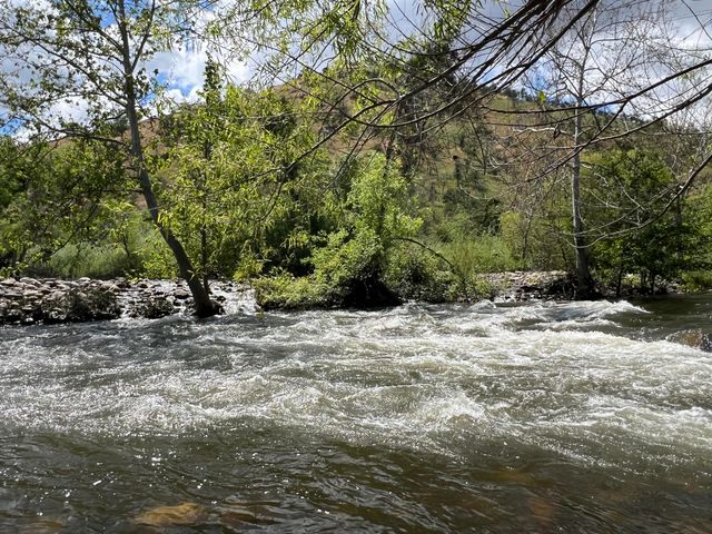 40863 Sierra Drive D, Three Rivers, CA 93271