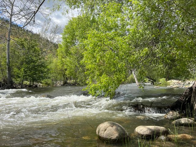 40863 Sierra Drive D, Three Rivers, CA 93271