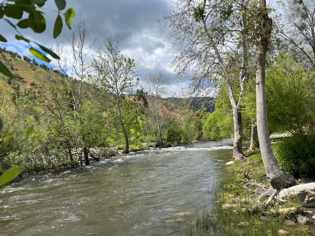 40863 Sierra Drive D, Three Rivers, CA 93271