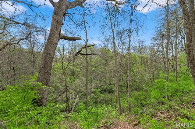 250 Quindaro Drive, Florissant, MO 63034