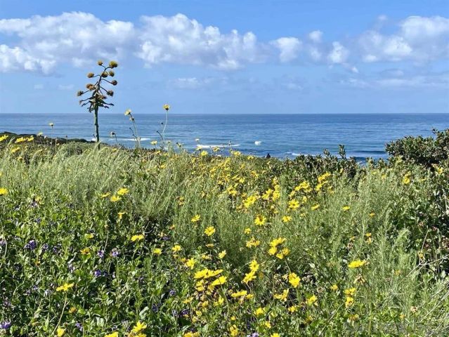 936 Cornish Dr, San Diego, CA 92107