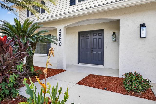 3909 BRAESGATE LANE, Tampa, FL 33624